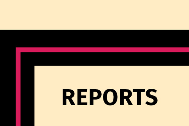 WellKiwis Reports