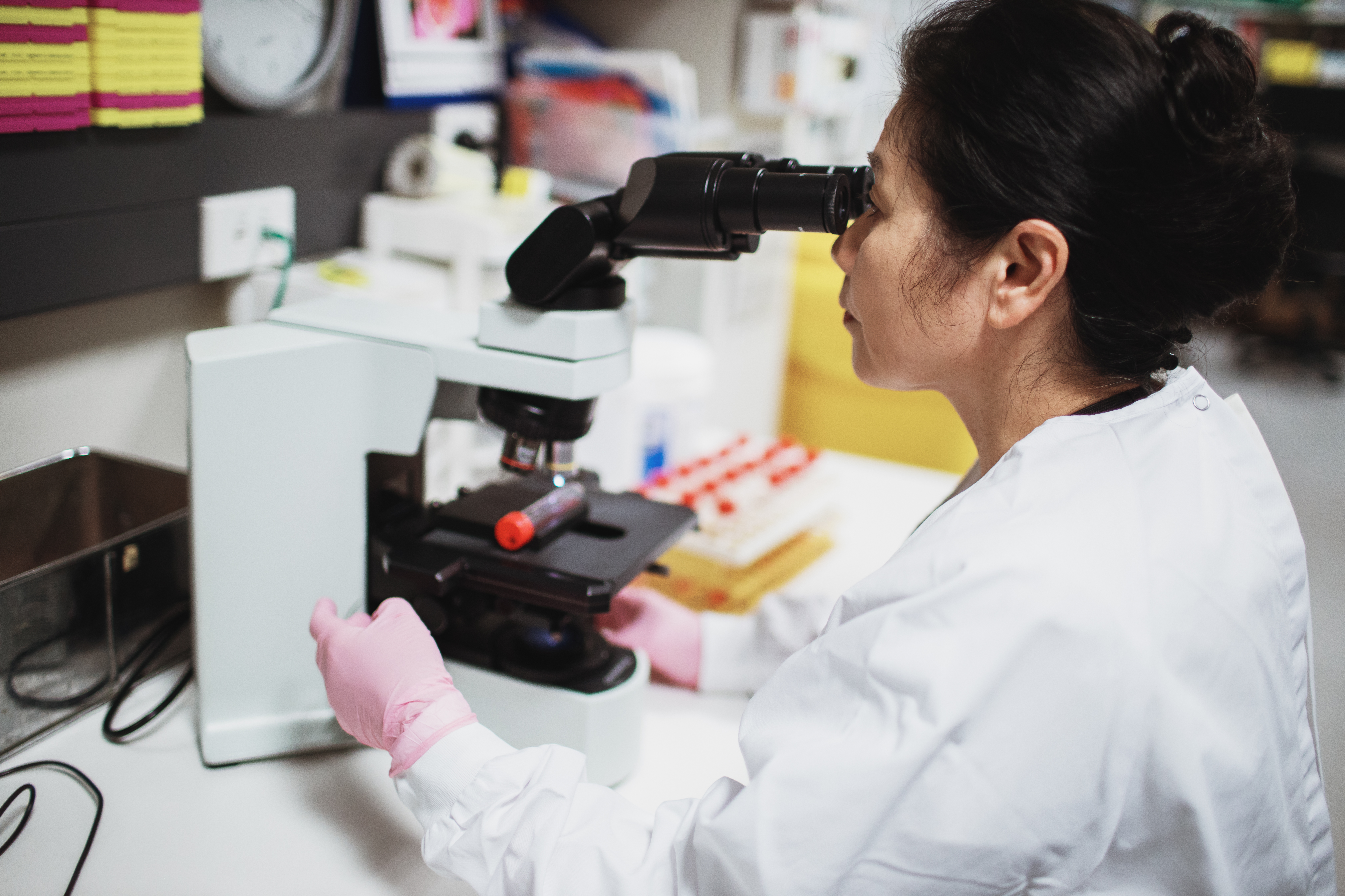 blood-samples-wellkiwis.jpg