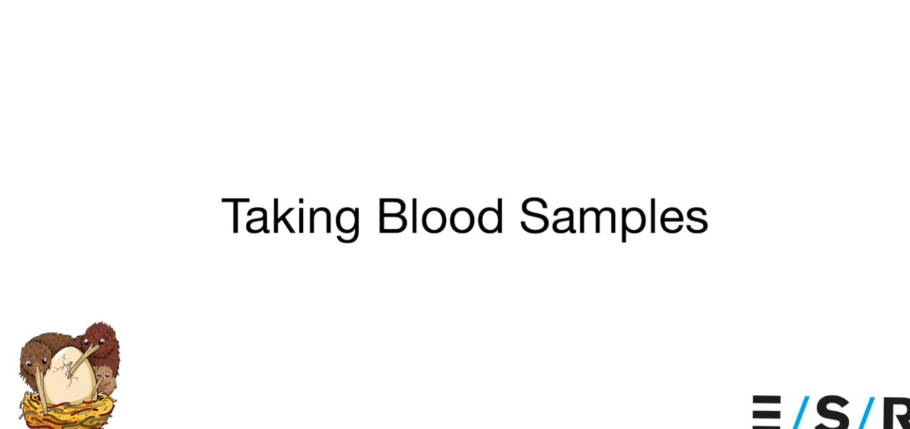 bloo-samples instruction video thumbnail.jpg